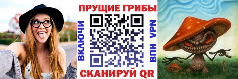 Галлюциногенные грибы MAGIC MUSHROOMS  Купить закладки  Северодвинск 